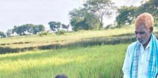 చివరి ఆయకట్టుకు అందని సాగునీరు..