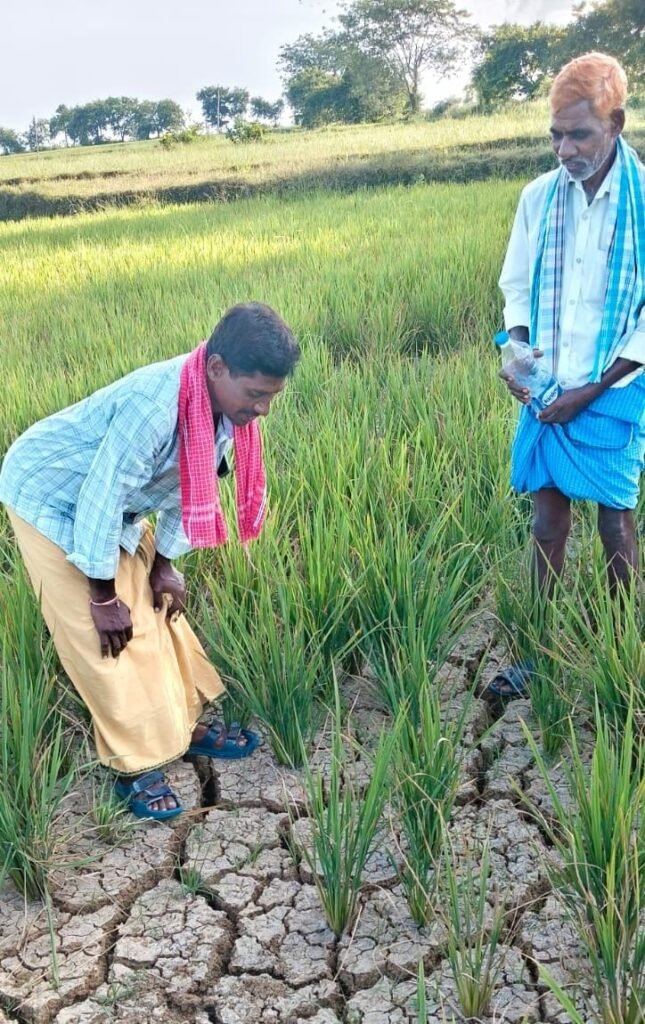 చివరి ఆయకట్టుకు అందని సాగునీరు..