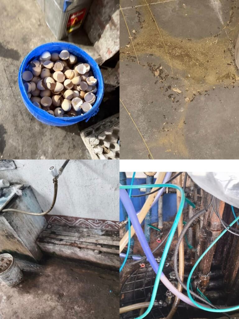 గిదా మనం తింటున్నది..?